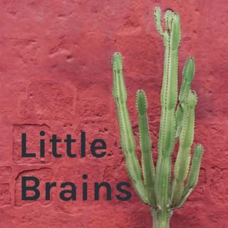 Little Brains