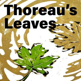 Thoreau's Leaves: the Thoreau podcast