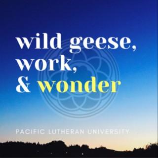 Wild Geese, Work, and Wonder