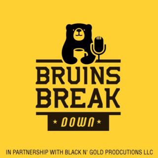 Bruins Breakdown