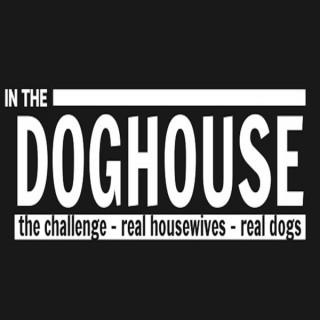 In the Doghouse: A Challenge Podcast