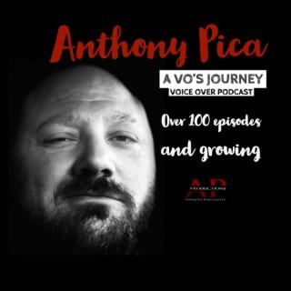 A VO's Journey: Voiceover and more voice over