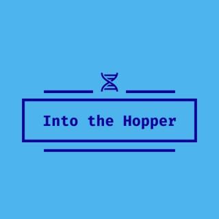 Into the Hopper