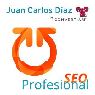 SEO Profesional es un Podcast de SEO| SEM | Analítica | CRO | WPO | Marketing Online & la actualidad de este fantástico sec