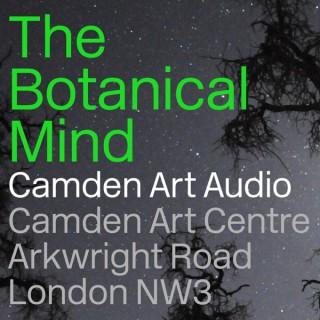 Camden Art Audio