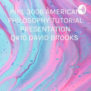 PHIL 3006 AMERICAN PHILOSOPHY TUTORIAL PRESENTATION Q#10 DAVID BROOKS