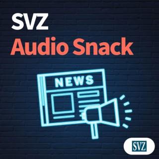 SVZ Audio Snack