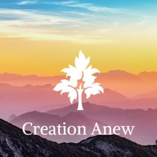 Creation Anew