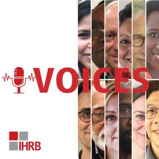 Voices - Conversations on Business and Human Rights from Around the World
