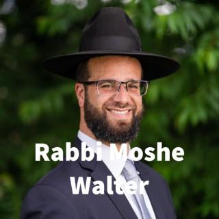 Rabbi Moshe Walter's Podcast