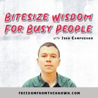 Bitesize Wisdom For Busy People