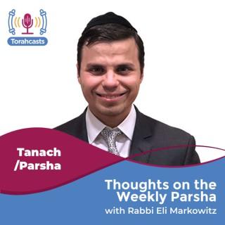 Thoughts on the Weekly Parsha