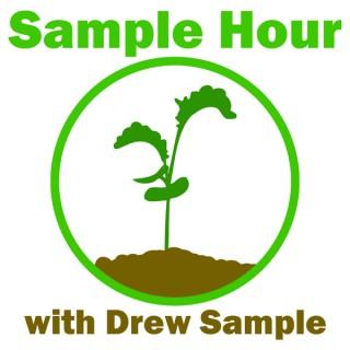 The Sample Hour