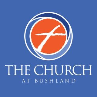 The Church At Bushland