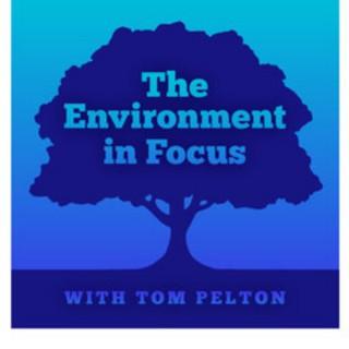 The Environment in Focus