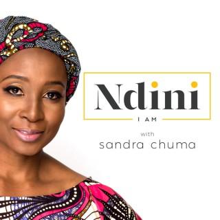 The NDINI Podcast