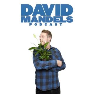 David Mandels Podcast