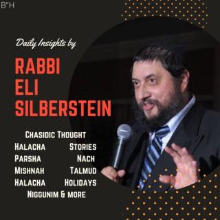 Daily Insights by Rabbi Eli Silberstein