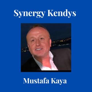 Synergy Kendiyas