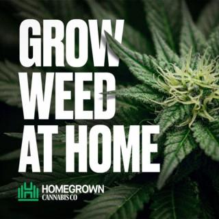 Grow Weed at Home with Homegrown Cannabis Co