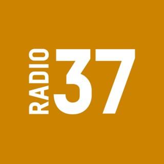 RADIO37 - Das Bornholm-Magazin