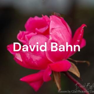 David Bahn - Reflections