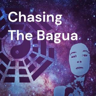 Chasing The Bagua