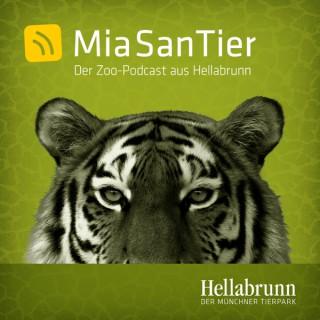 Mia san Tier - Der Zoo-Podcast aus Hellabrunn