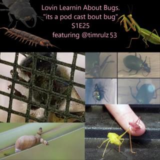 Lovin' Learnin' About Bugs