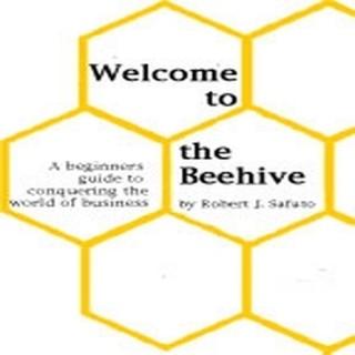 WELCOME TO THE BEEHIVE: A beginners guide to conquering the world of business