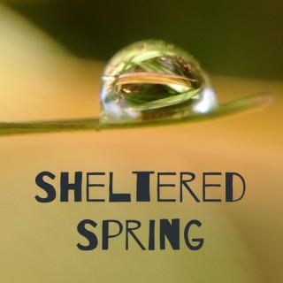 Sheltered Spring