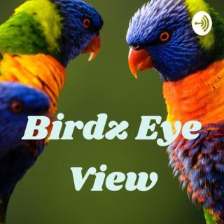Birdz Eye View
