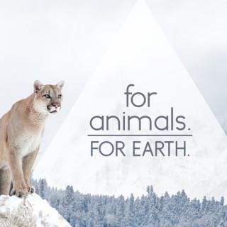 For Animals For Earth - Simple ideas to make a difference.