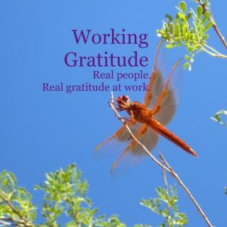Working Gratitude - Real people. Real gratitude at work.