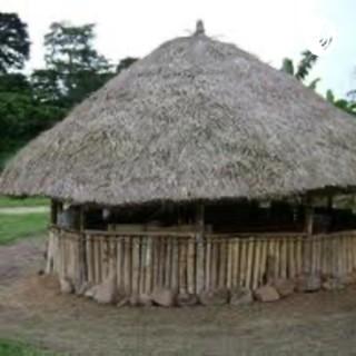 This Is The Palava Hut