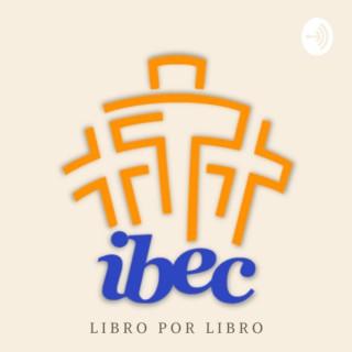 Proyecto IBEC