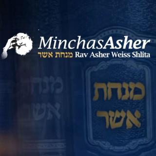 Rav Asher Weiss - Shiurim & Divrei Torah