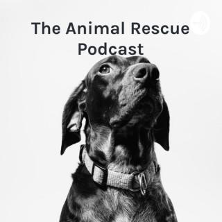 The Animal Rescue Podcast: what you always wanted to know but didnâ€™t know who to ask