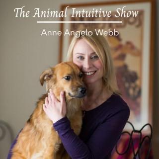 The Animal Intuitive Show