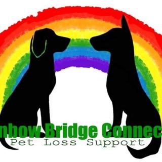 Rainbow Bridge Connection- Pet loss support