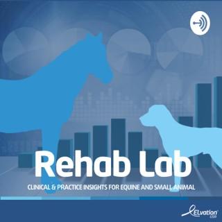Rehab Lab