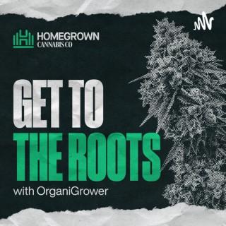 Get to The Roots by Homegrown Cannabis Co.