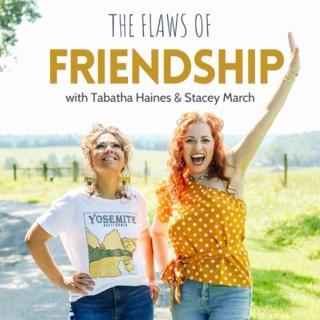 The Flaws of Friendship