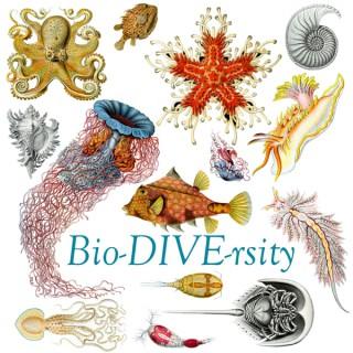 Bio-DIVE-rsity