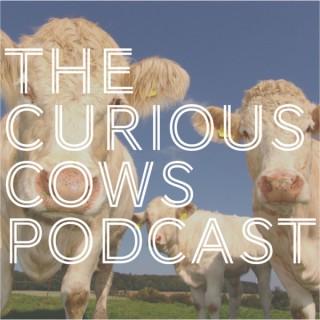 Curious Cows