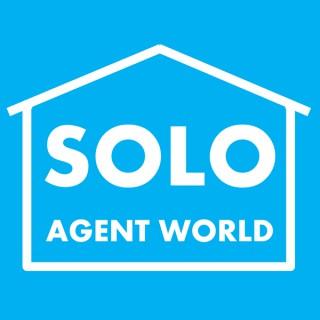 Solo Agent World