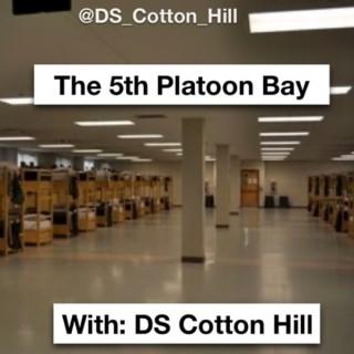 The 5th Platoon Bay