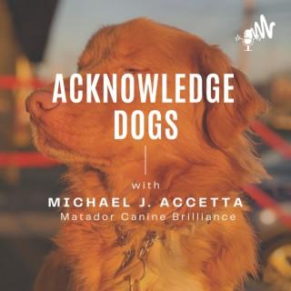 Acknowledge Dogs - Matador Canine