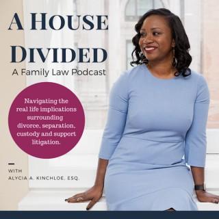 A House Divided: Practical Tips for Family Law Issues