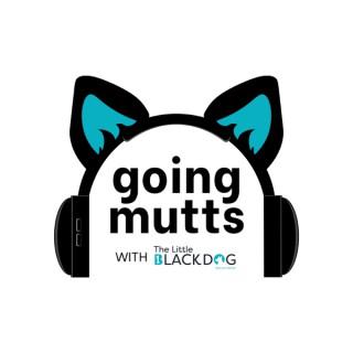 Going Mutts with The Little Black Dog Rescue Group